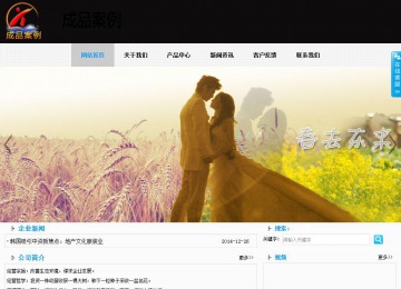 商務型成品案例站No:8553
