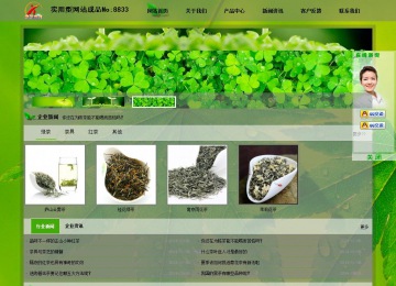 經(jīng)濟型成品案例站No:8833