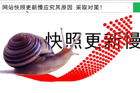 網(wǎng)站快照更新慢應(yīng)究其原因 采取對策！