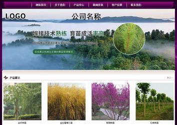 經(jīng)濟型成品案例站No:5001