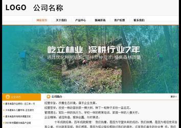 經(jīng)濟型成品案例站No:5049