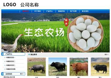 經(jīng)濟型成品案例No:7199