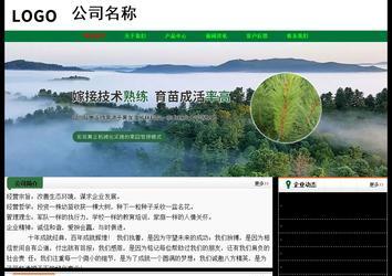 經(jīng)濟型成品案例No:7749