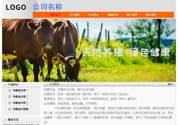 經(jīng)濟型成品案例No:7853