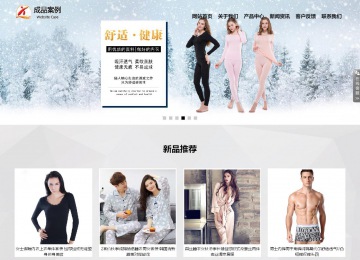 響應(yīng)式成品案例站No:800