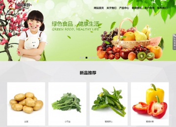 響應(yīng)式成品案例站No:800