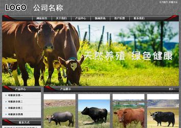 經(jīng)濟型成品案例站No:8060