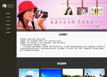 響應(yīng)式成品案例站No:807