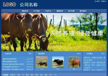 經(jīng)濟型成品案例站No:8245