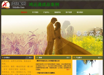 經(jīng)濟型成品案例No:8360
