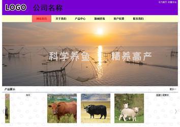 經(jīng)濟型成品案例站No:8383