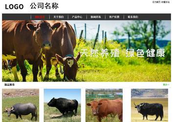 經(jīng)濟型成品案例站No:8389