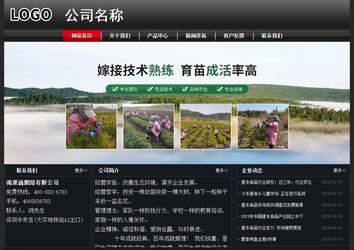 經(jīng)濟型成品案例No:8589