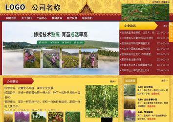 商務型成品案例站No:8824