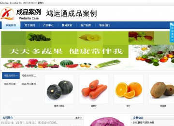商務(wù)型成品案例站No:8827