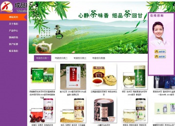 商務型成品案例站No:8830